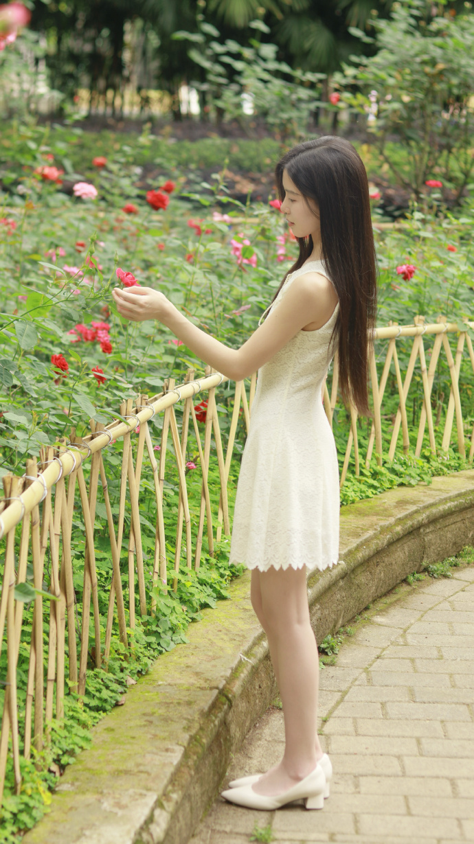 美丽心灵